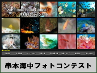 串本海中フォトコンテスト