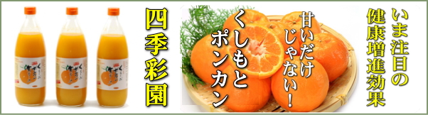 �������Ƃ̃|���J���E�ʔ�