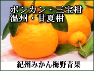 �I�B�̃~�J��